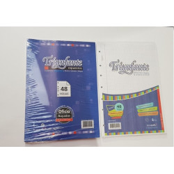 REPUESTO OF TRIUNFANTE 48H 90G