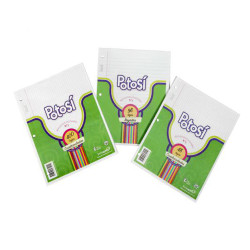 REPUESTO N3 POTOSI DE  48HOJAS