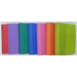 CARPETA A4 REXON PVC 20302