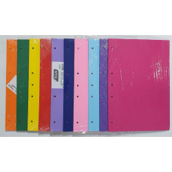 SEPARADOR N5 CARTULINA X25UNID