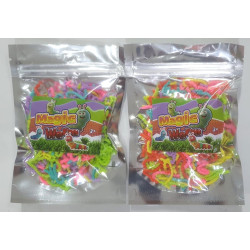 GUSANOS MAGICOS EN BOLSA ZIPPER GUSANOS MAGICOS EN BOLSA ZIPPER