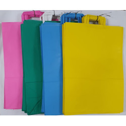 BOLSA D/PAPEL  34X17X49CM LISAS