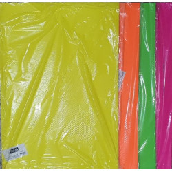 CARTULINA FLUO 44.5X63CM