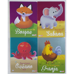 LIBROS TAPA DURA 4TITULOS