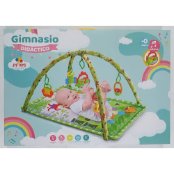 GIMNASIO DIDACTICO VERDE