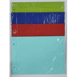 CARPETA N5  REXON PVC COLOR