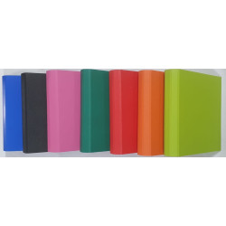 CARPETA 3X40 REXON PVC COLOR