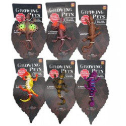 BLISTER ANIMALES CRECEN EN AGUA